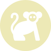 Banana Budget Monkey icon